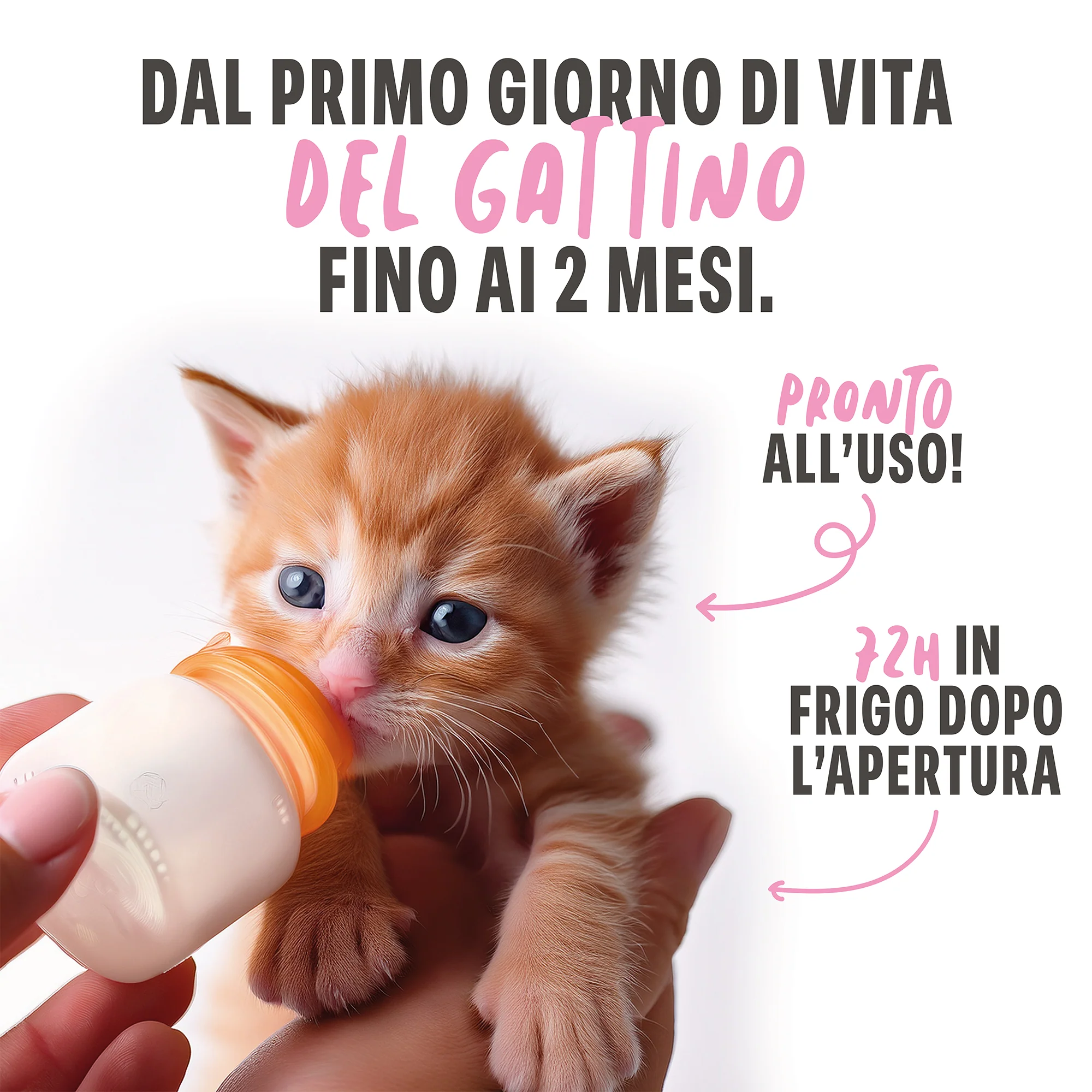 Immagine prodotto 3