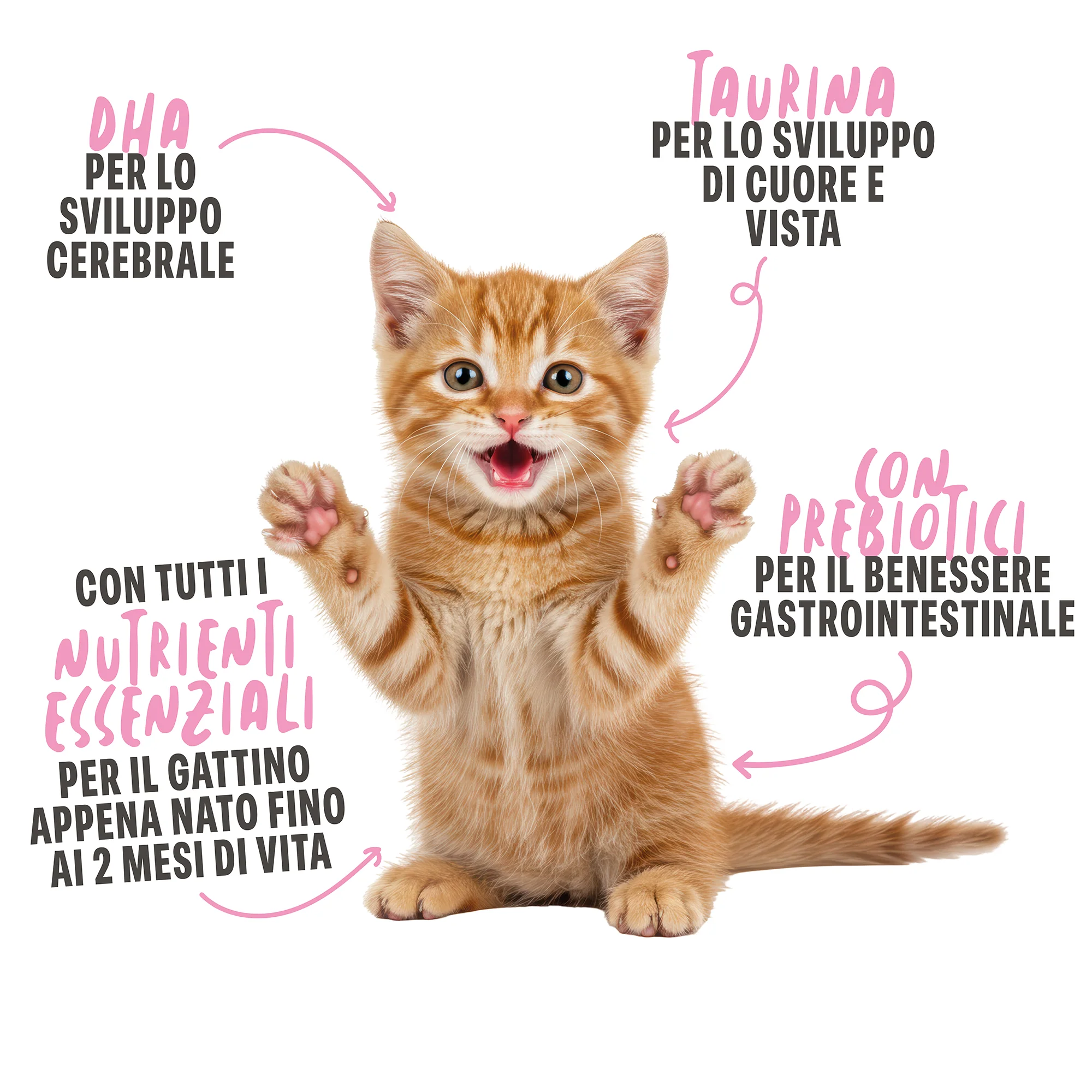 Immagine prodotto 5